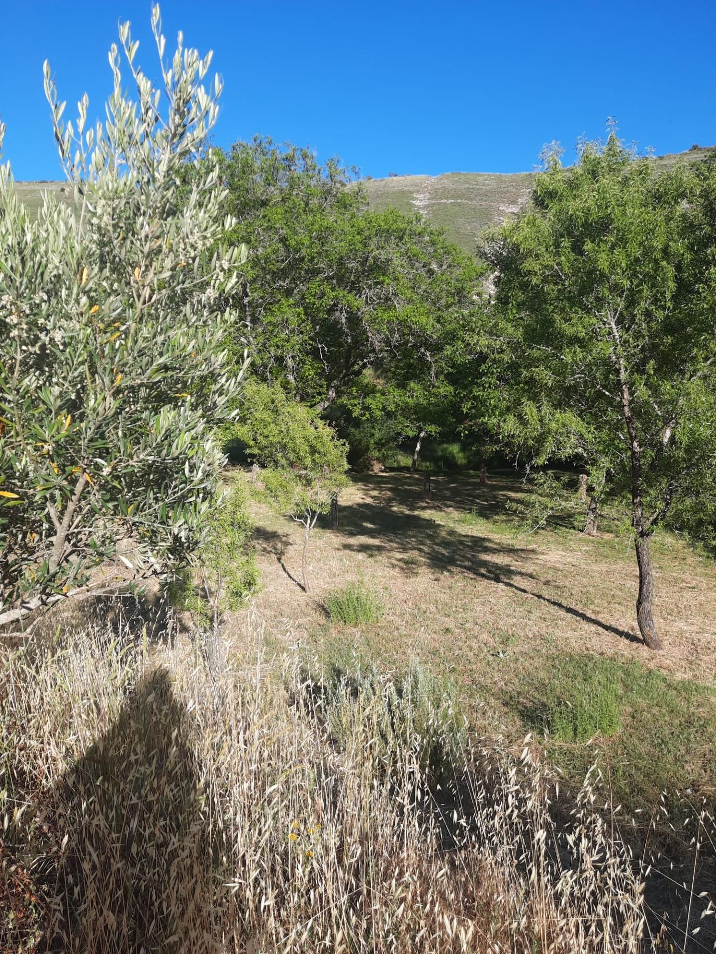 Residencial en venta en Valle de Tabladillo