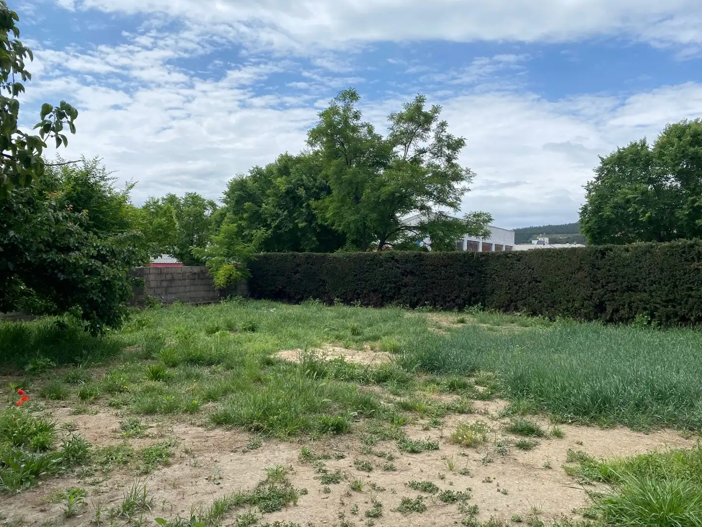 Finca rústica en venta en Santa Coloma de Farners