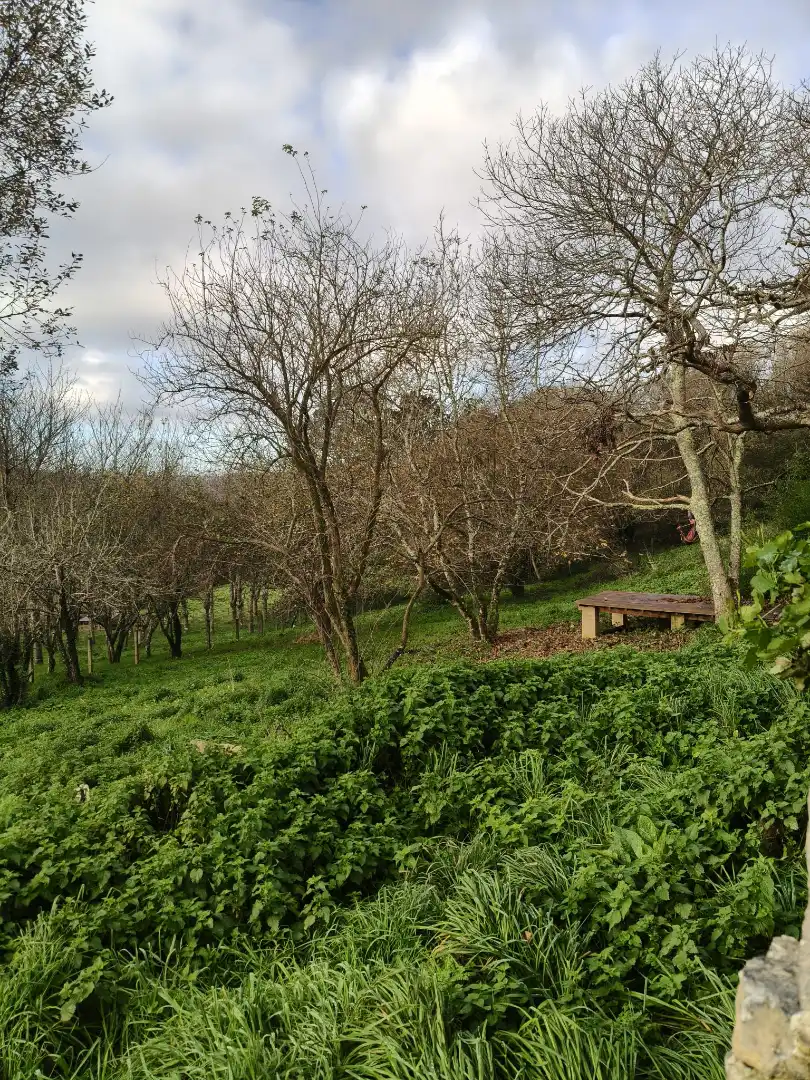 Country house with garden for sale in Cedeira, imagen 24