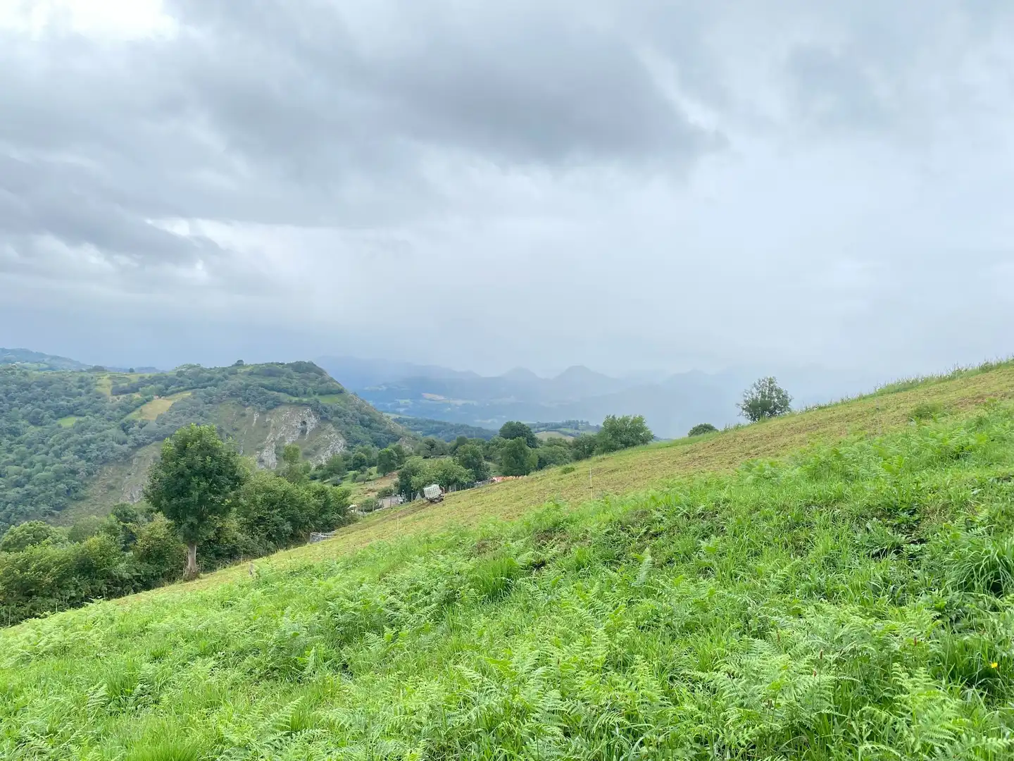 Houses for sale in Gamonedo, Cangas de Onís