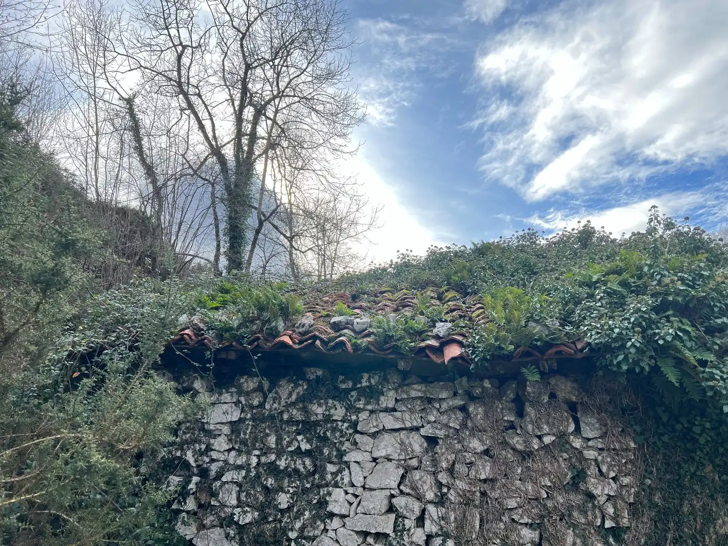 Terreno rustico in vendita a següenco, imagen 5