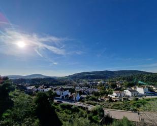 Exterior view of Planta baja for sale in El Bosque  with Terrace