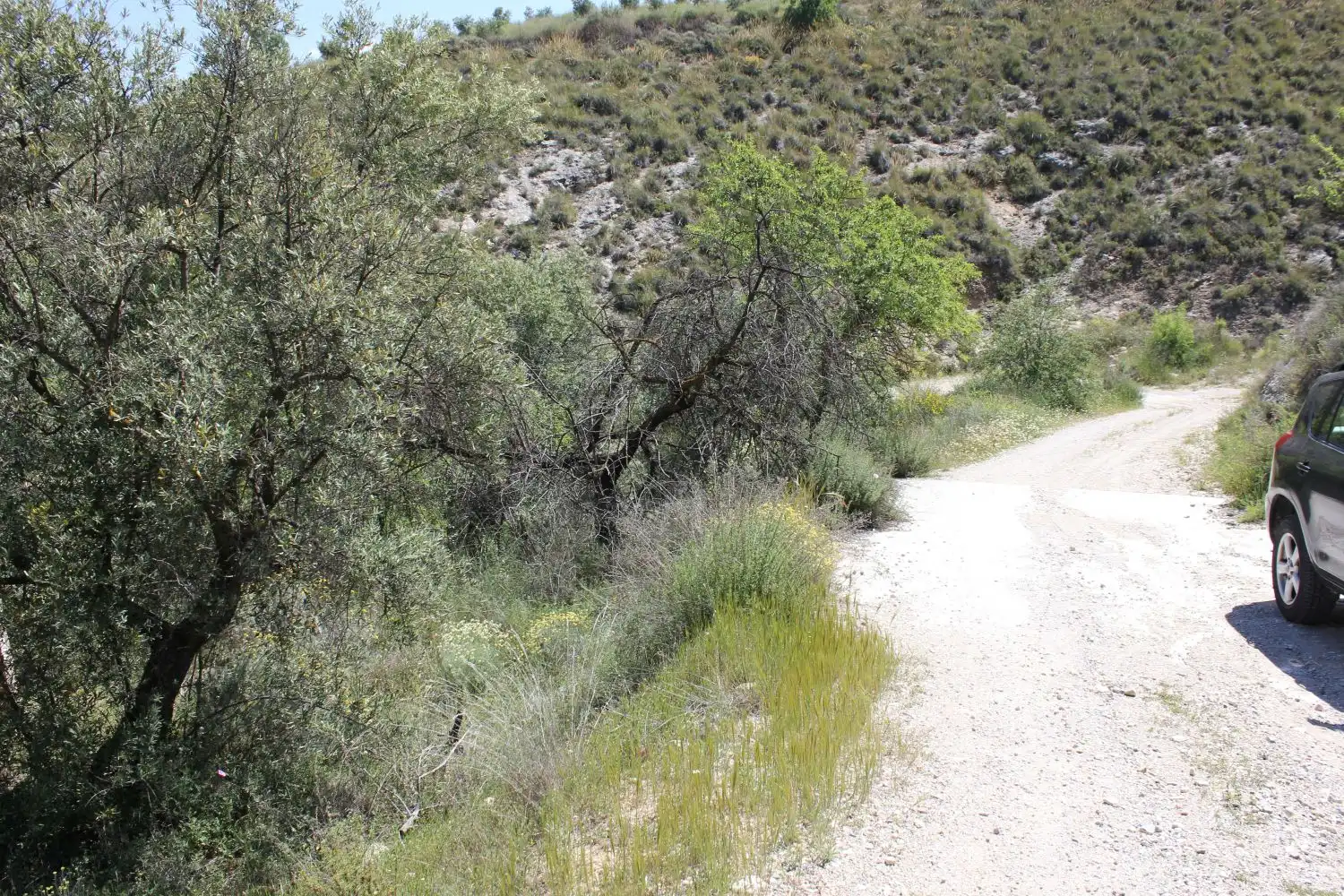 Terreni e lotti in vendita a andalucia, imagen 13