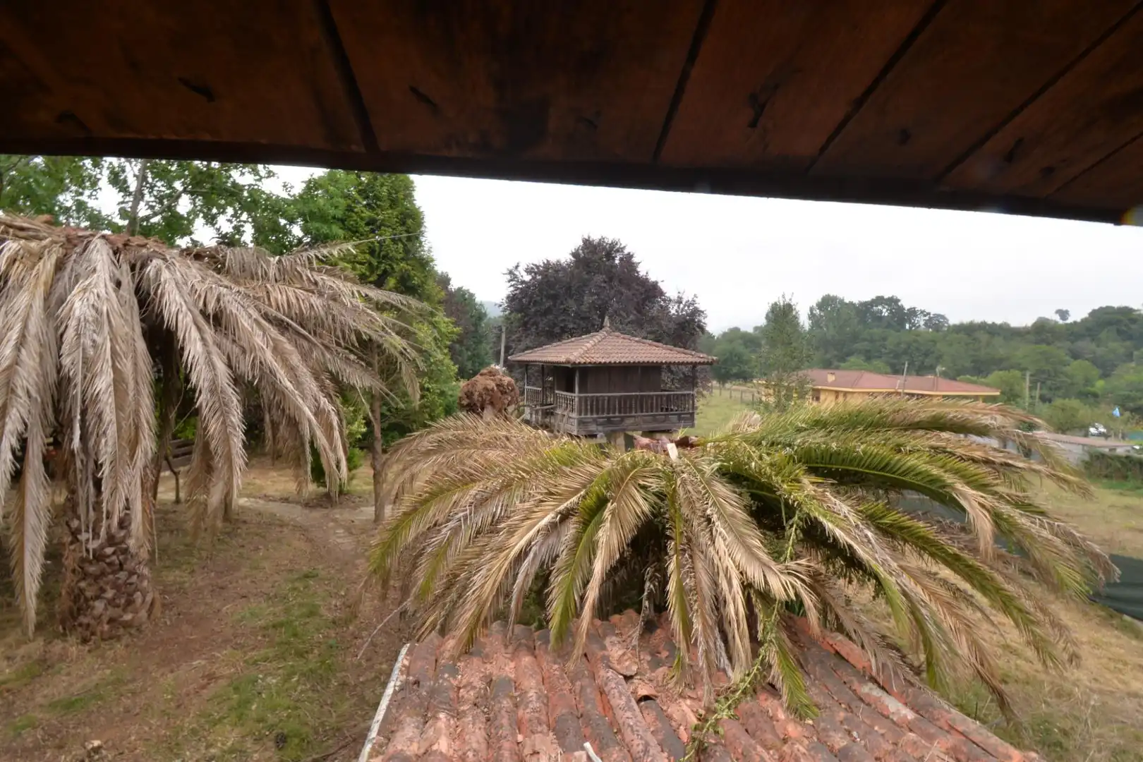 Casa o xalet en venda a Lugar Lugar Guyame, Llanera