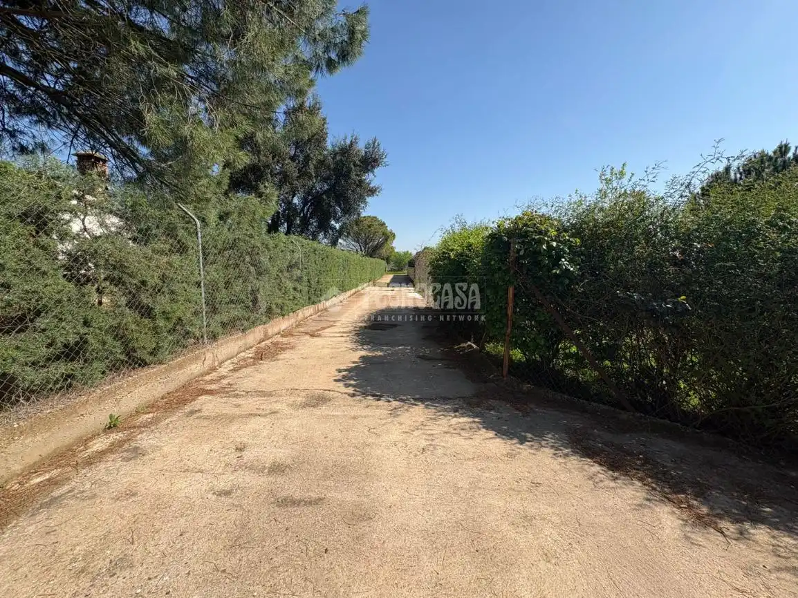 Terreno en venta en Táliga