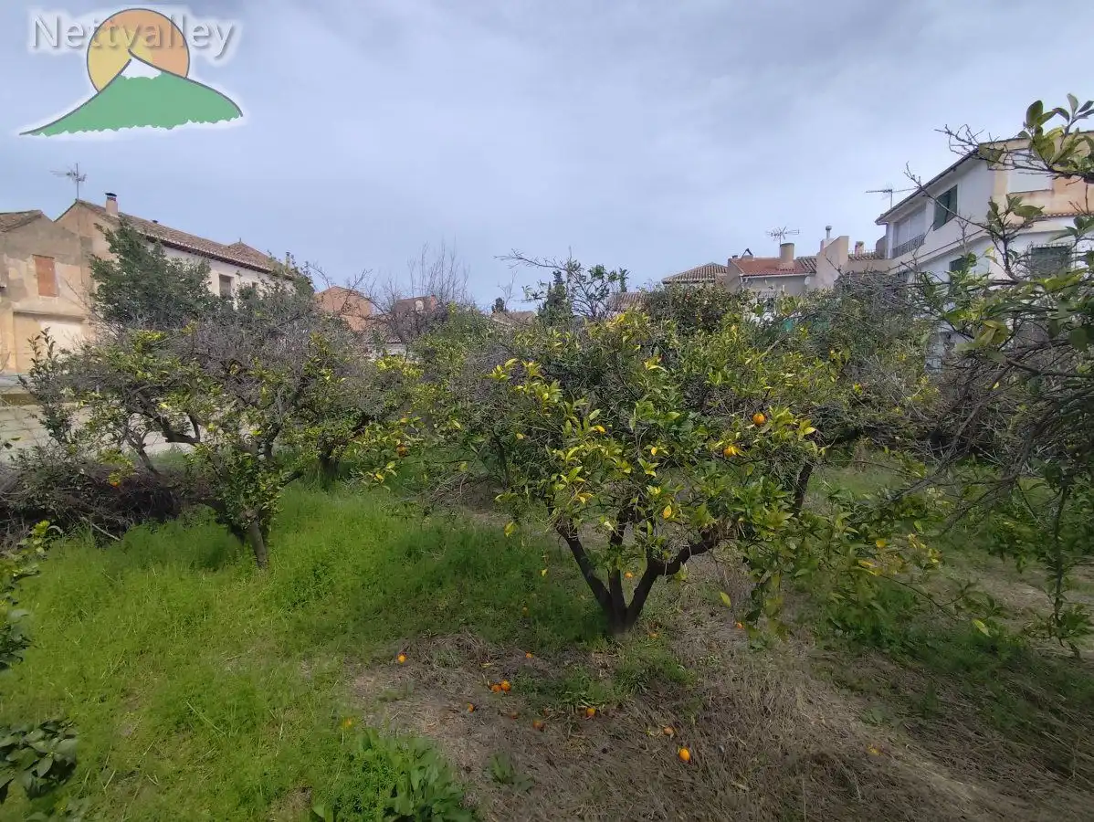 Casa in vendita a MOLINO BAJO 1, imagen 5