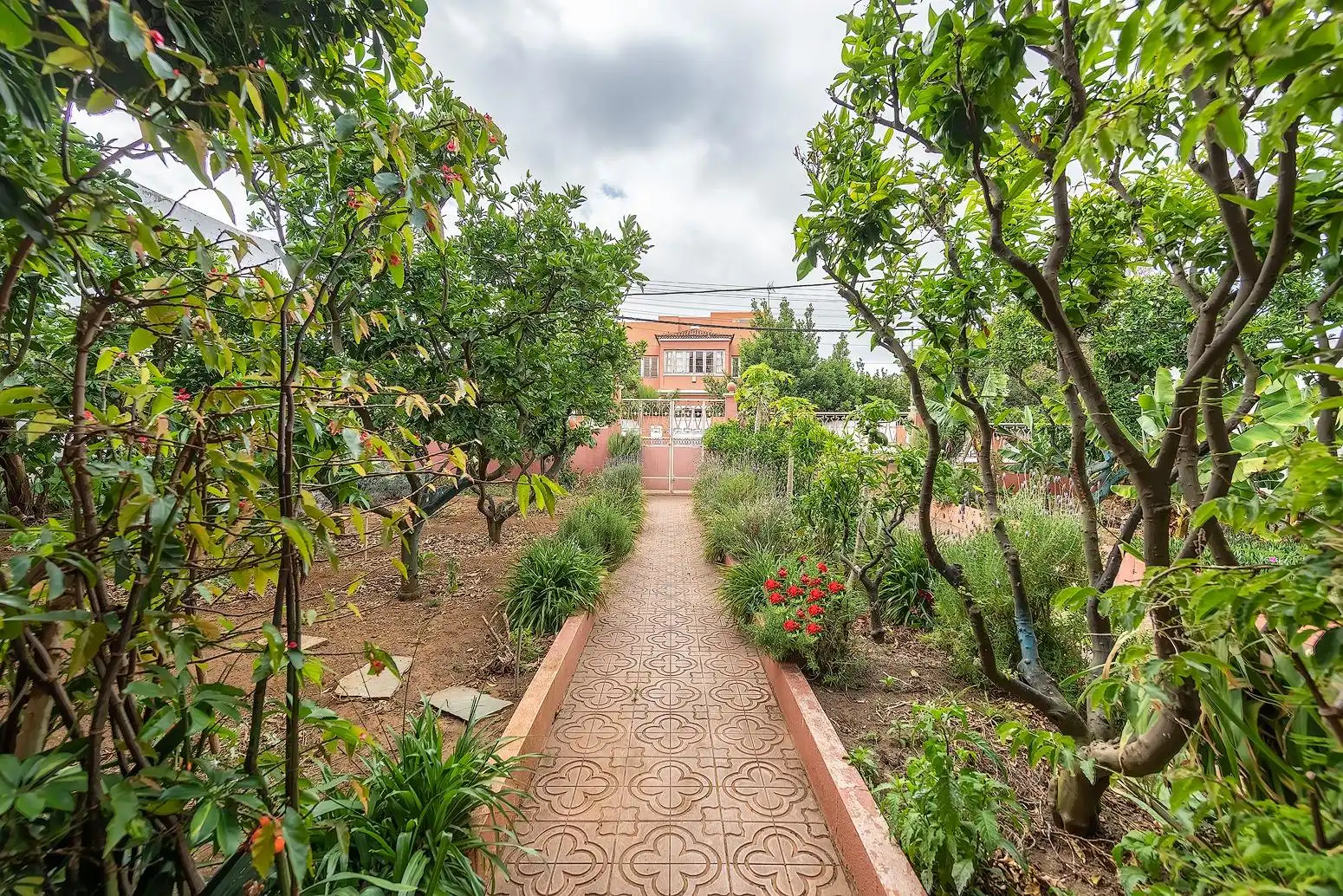Jardí de Casa o xalet en venda en Las Palmas de Gran Canaria amb Aire condicionat, Jardí privat i Terrassa
