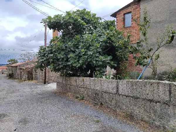 Casa o chalet en venta en Covelas, Os Blancos