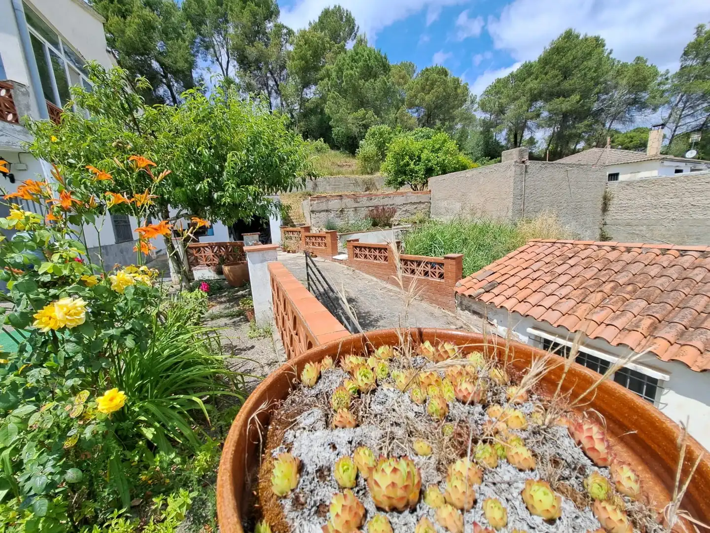 Jardín de Casa o chalet en venta en Rubí con Calefacción, Terraza y Trastero