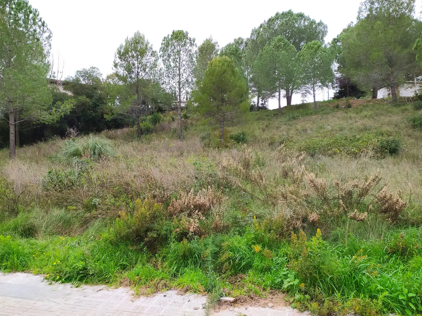Residential land for sale in Ronda de la Pagesia, Sant Llorenç d'Hortons, Spain 67A, imagen 25