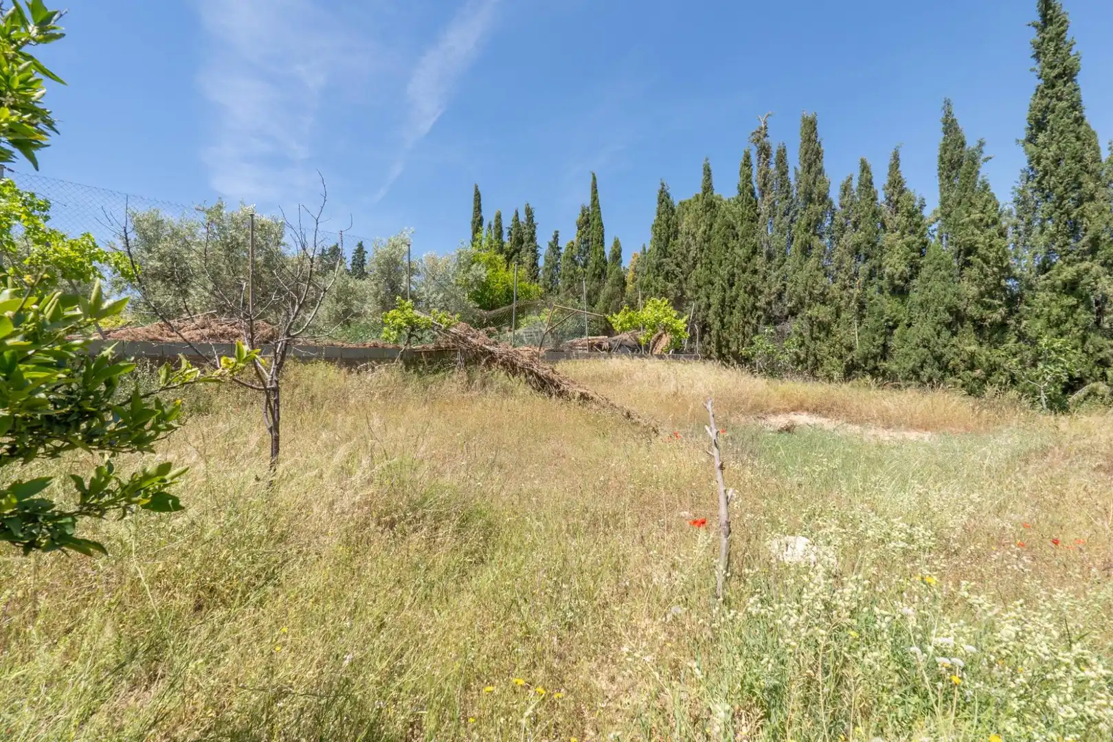 Casa o xalet en venda a Moraleda de Zafayona
