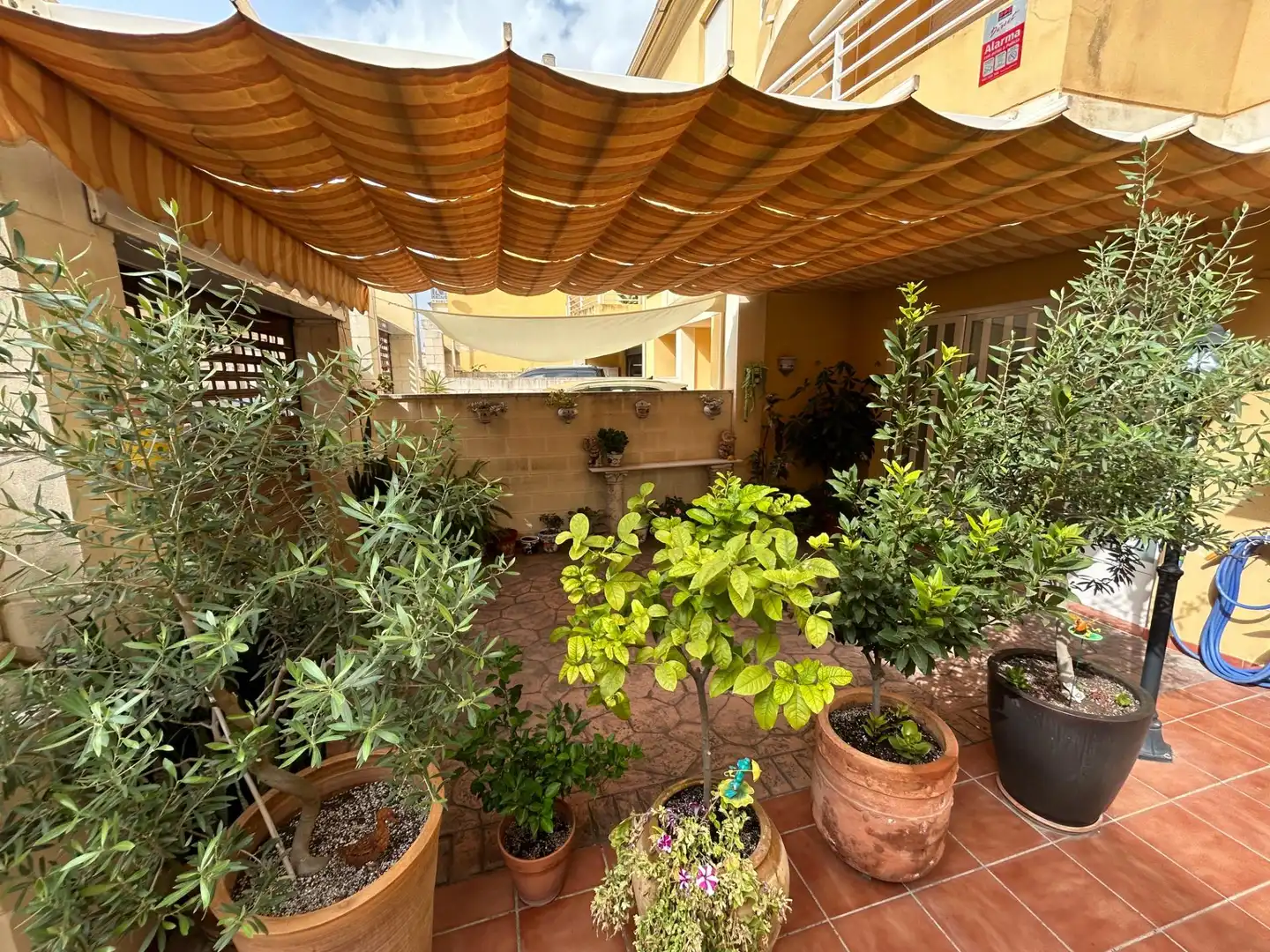 Adosado con jardín en venta en Calle CONSTITUCIO, imagen 47