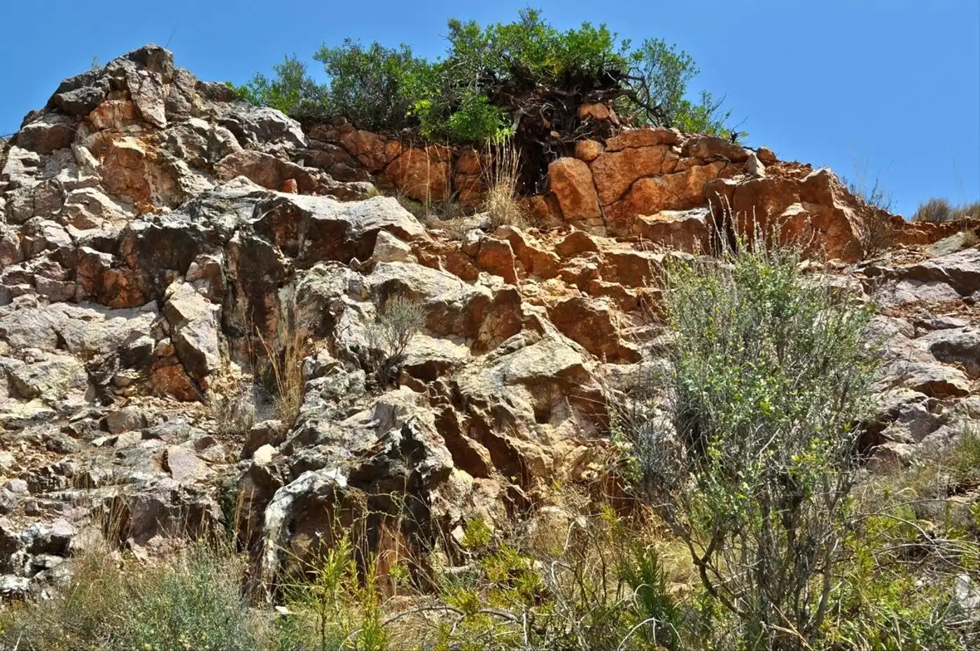 Land for sale in Camí del Barranc de la Llet, 26, Sant Llàtzer