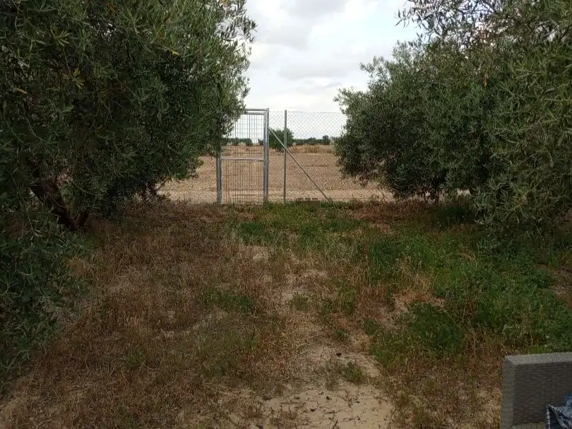 Terreno en venta en Lorca