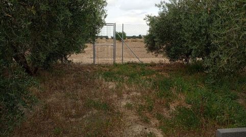 Foto 2 de Terreno en venta en Carretera de Aguaderas, 102, Aguaderas, Lorca