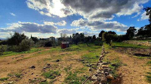 Foto 3 de Finca rústica en venta en Binissalem, Illes Balears