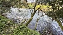 Casa o xalet en venda en Ribamontán al Monte amb Aire condicionat, Calefacció i Jardí privat