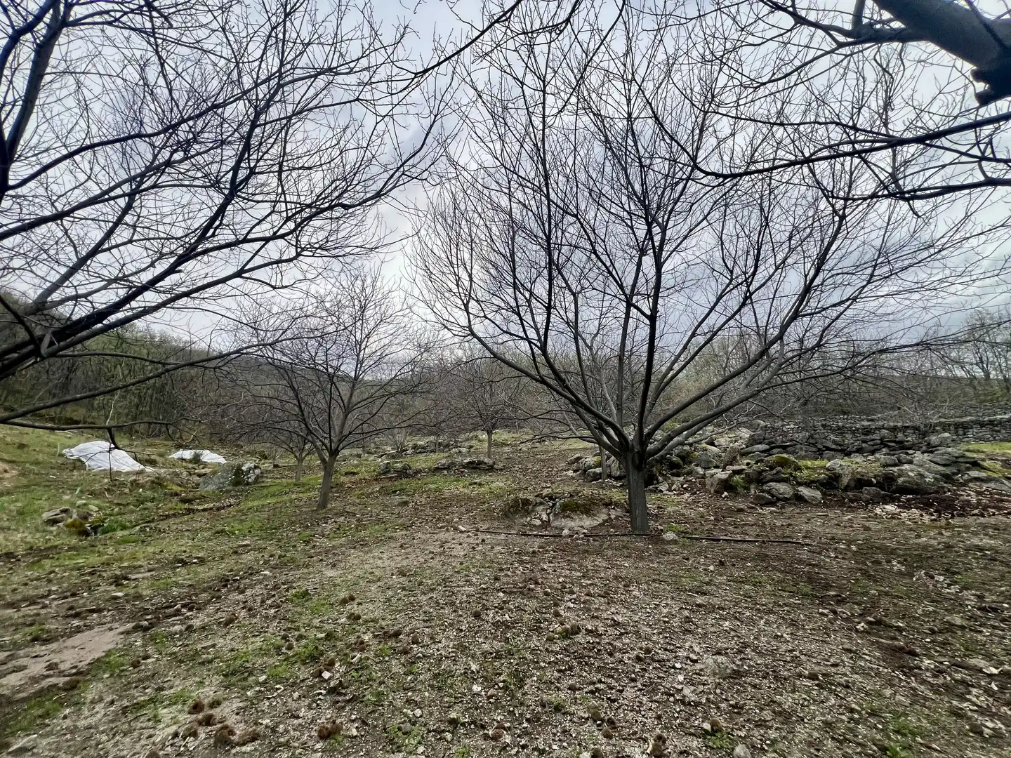 Grundstücke zum Verkauf in Garganta la Olla