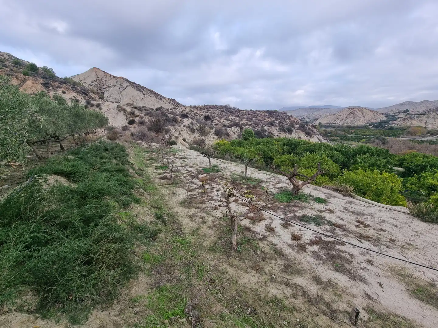 Rural land for sale in Calle Camino Ancho 4, imagen 15