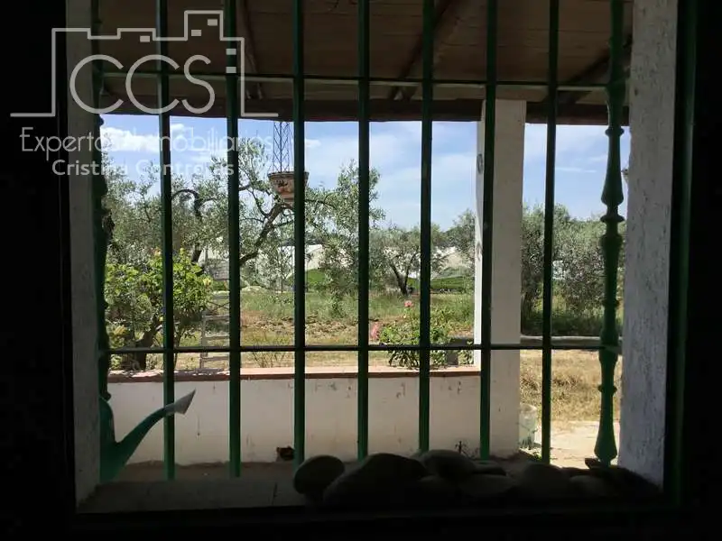 Jardí de Finca rústica en venda en Almonte amb Terrassa i Moblat