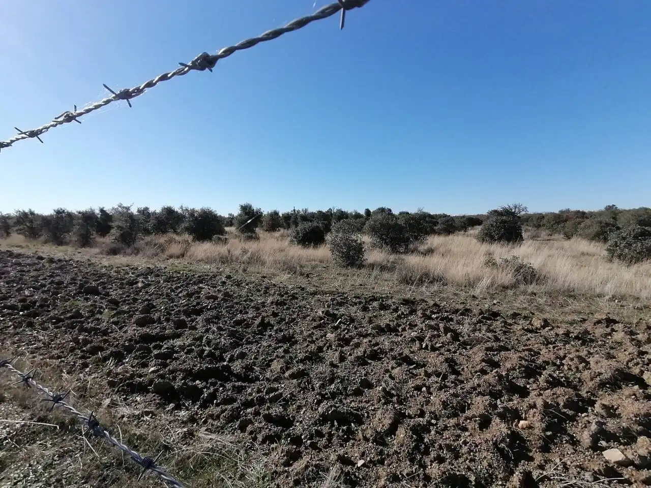 Terreny rústic en venda a Serradilla del Arroyo, imagen 20