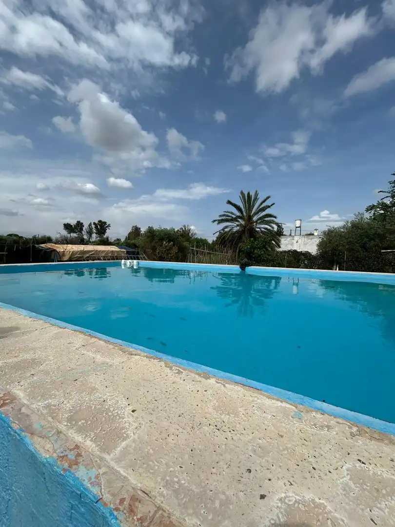 Piscina de Finca rústica en venta en Utrera