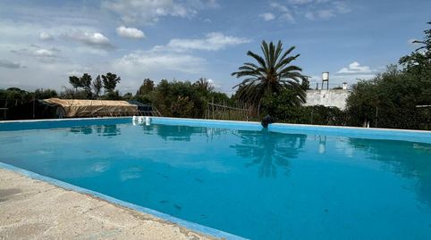 Foto 4 de Finca rústica en venda a Pedanías Norte, Utrera
