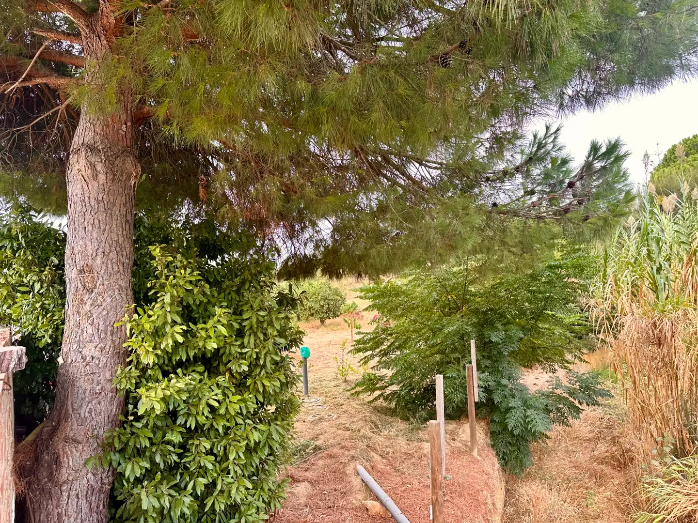 Country homes for sale in Lepe, Huelva