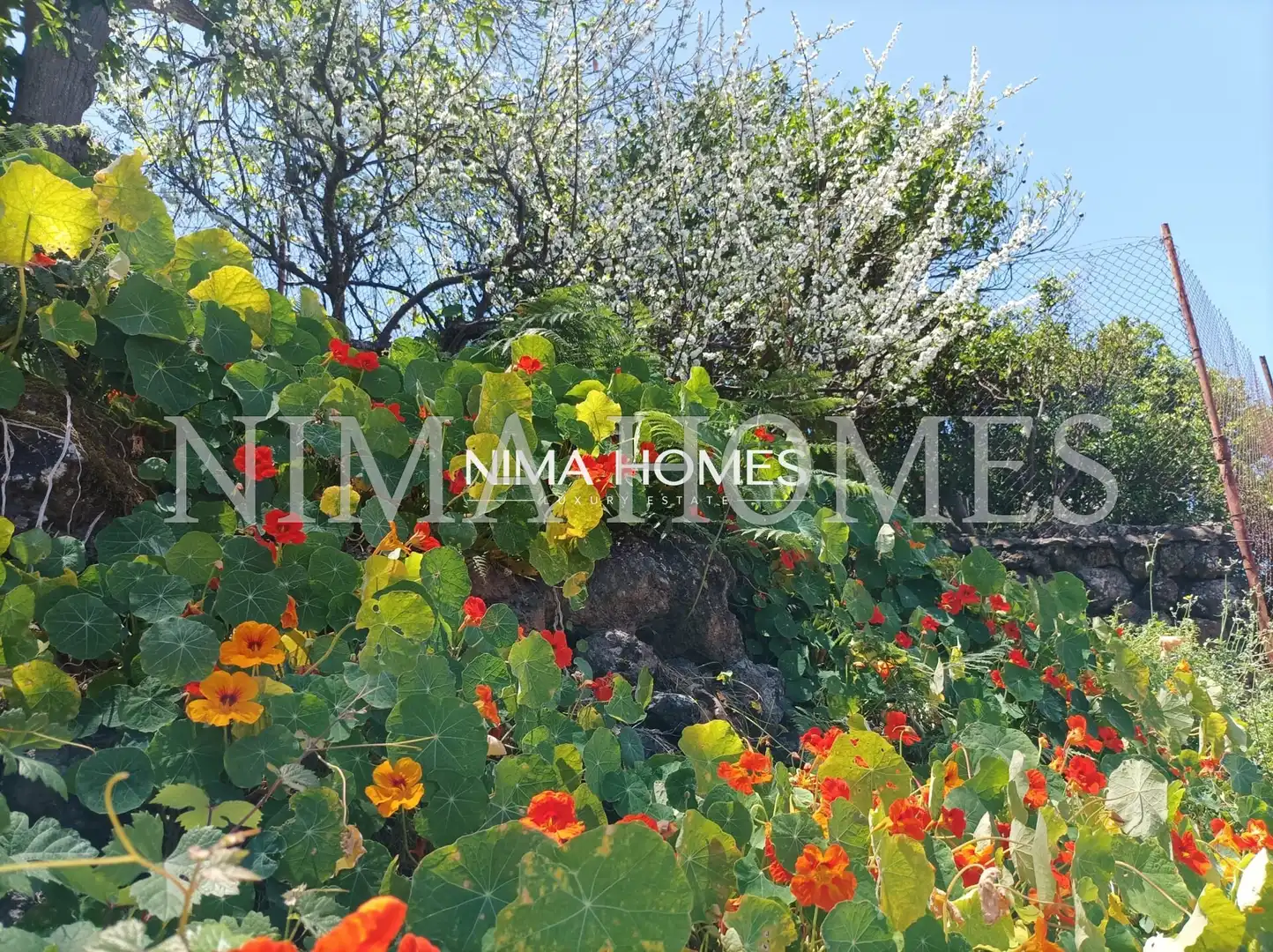 Finca rústica en venda en La Orotava amb Terrassa i Traster