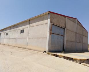 Exterior view of Industrial buildings for sale in Moguer