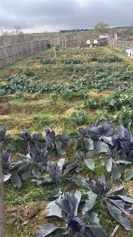 Jardín de Terreno en venta en Villaminaya
