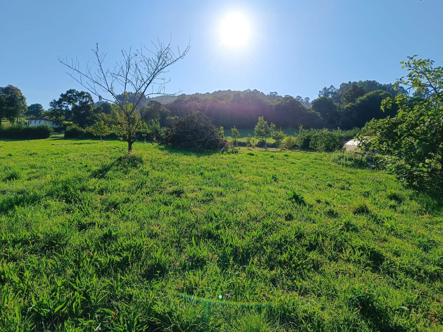Residential for sale in Oviedo 