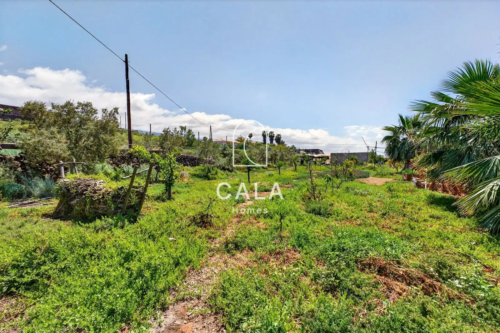 Casa o xalet en venda en Guía de Isora amb Jardí privat, Terrassa i Traster