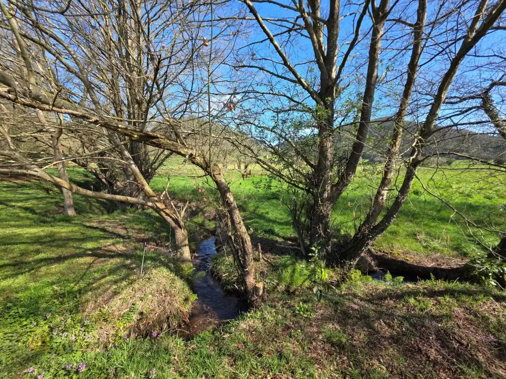 Außenansicht von Country house zum Verkauf in Llanera