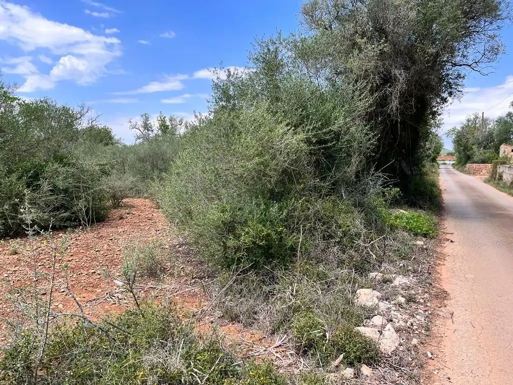 Finca rústica en venta en Llucmajor