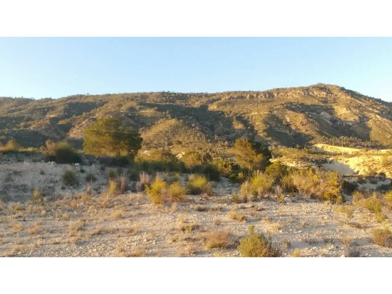 Lands and plots for sale in Ojós, imagen 14