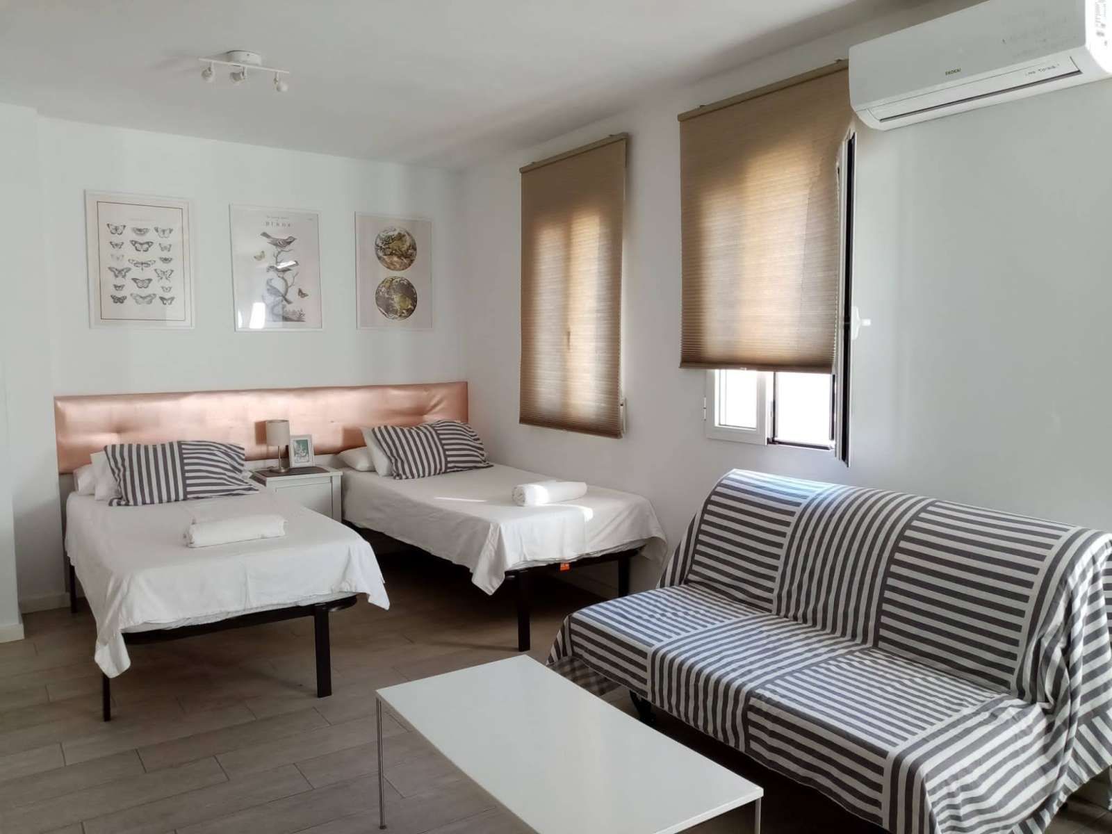 Study to share in En Corts - Doctor Waksman