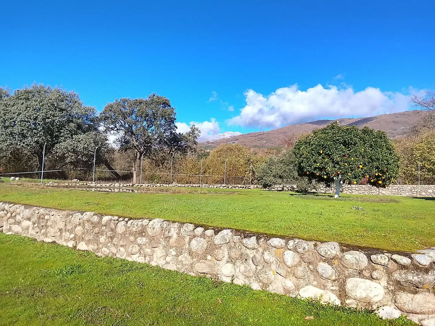 Jardín de Terreno en venta en Candeleda