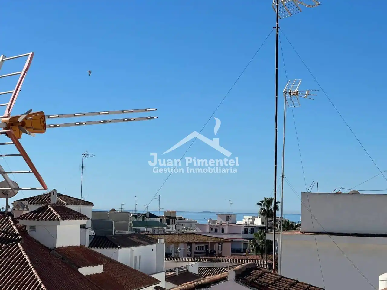 Vista exterior de Casa o chalet en venta en Estepona con Terraza