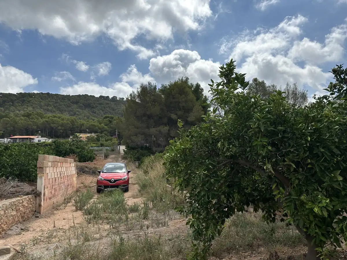 Rural land for sale in Sagunto ciudad, imagen 5