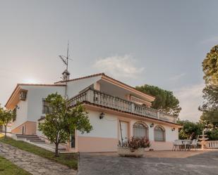 Vista exterior de Finca rústica en venda en  Córdoba Capital amb Jardí privat, Terrassa i Traster