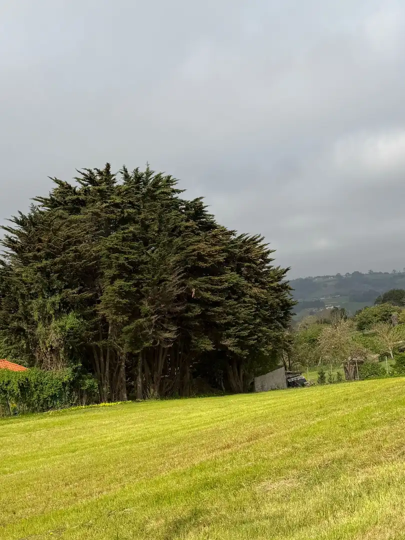 Jardín de Terreno en venta en Carreño