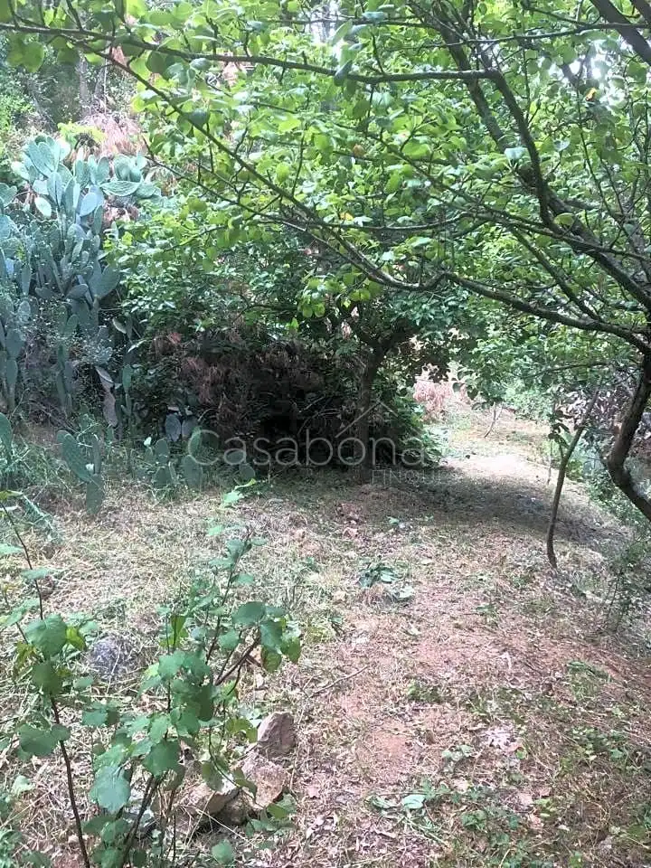 Finca rústica en venta en Arbúcies con Jardín privado, Terraza y Amueblado
