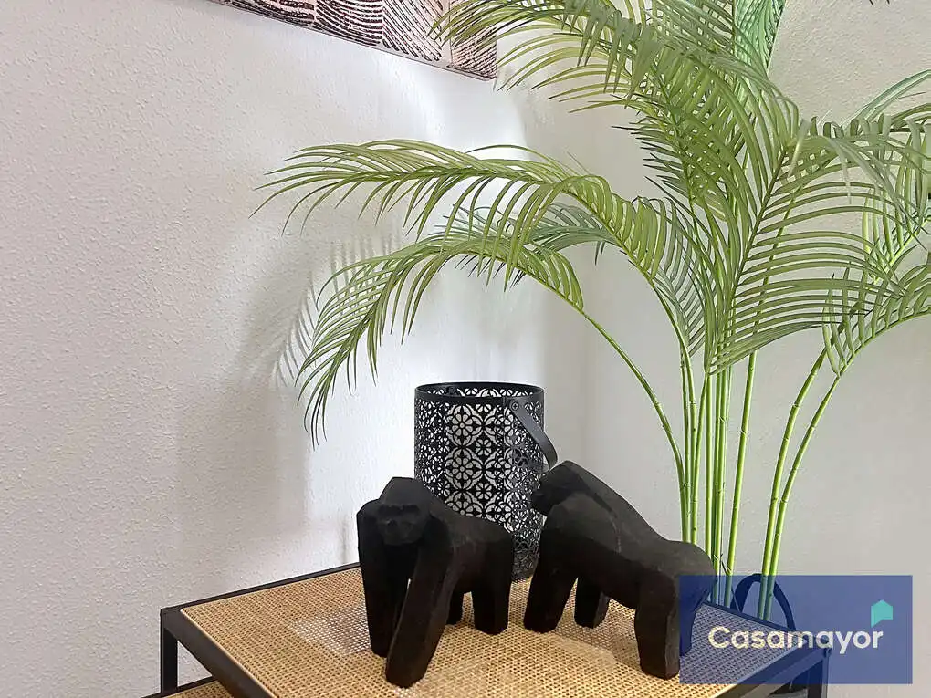 Exterior view of Flat for sale in Centro
