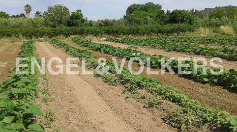 Terreno agrícola y forestal muy cerca de Geldo, immagine 2