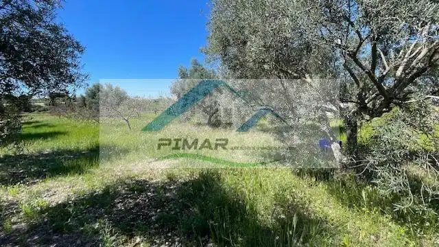 Casa o xalet en venda a Albatera