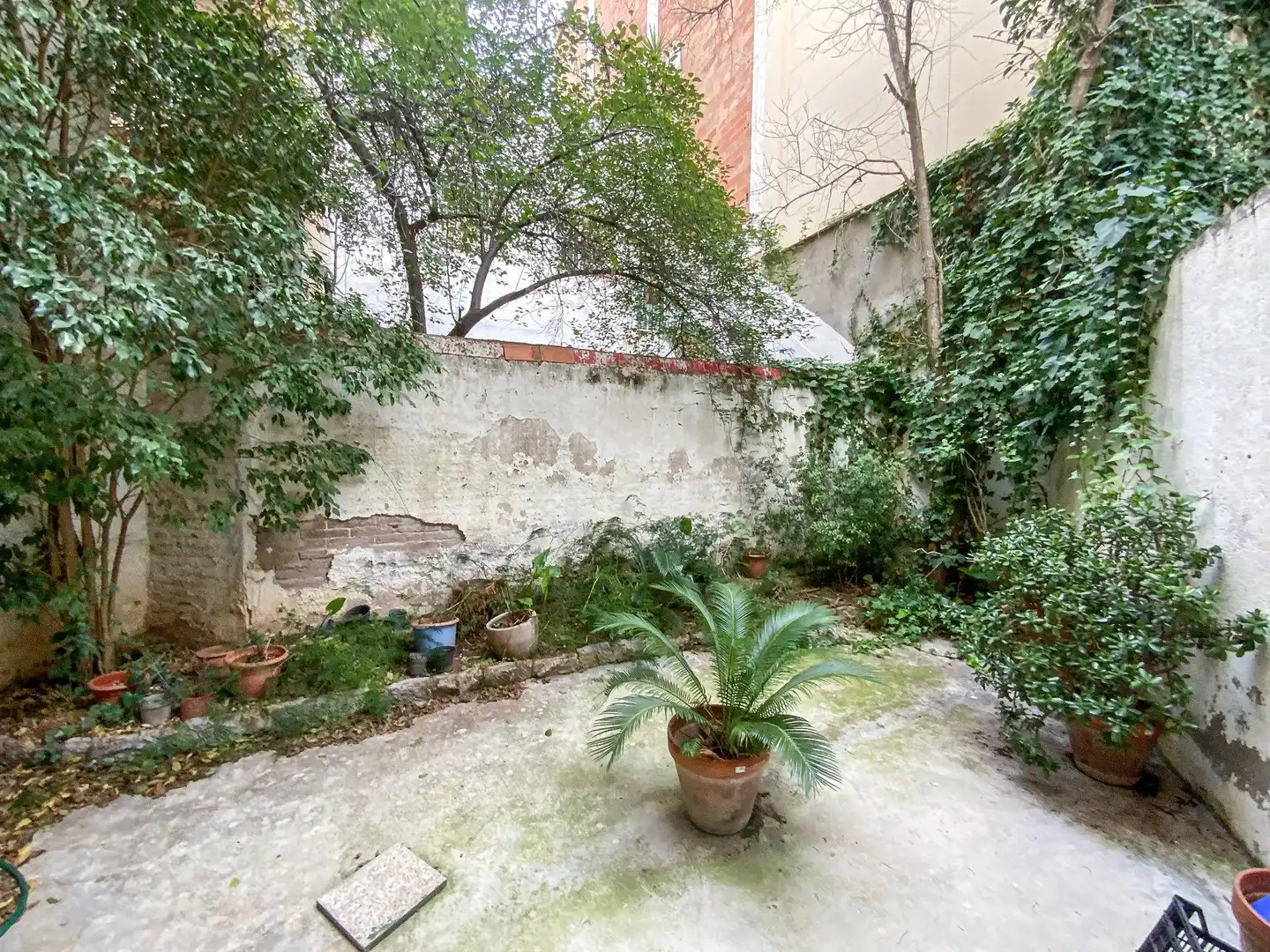 Jardín de Casa o chalet en venta en Barcelona