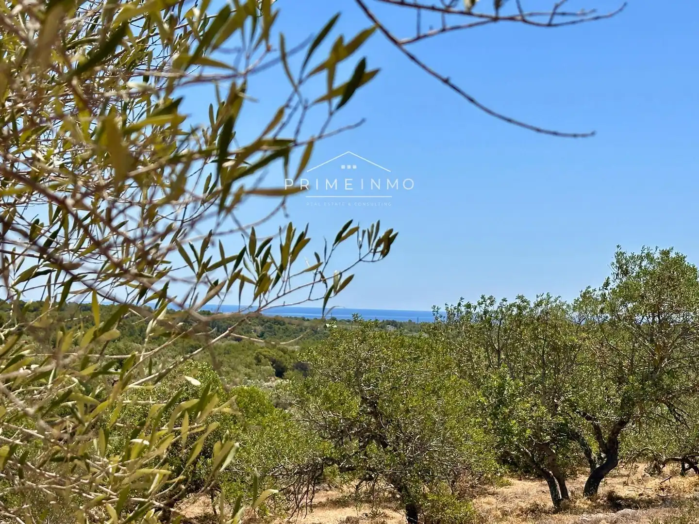 Finca rústica en venta en L'Ametlla de Mar 
