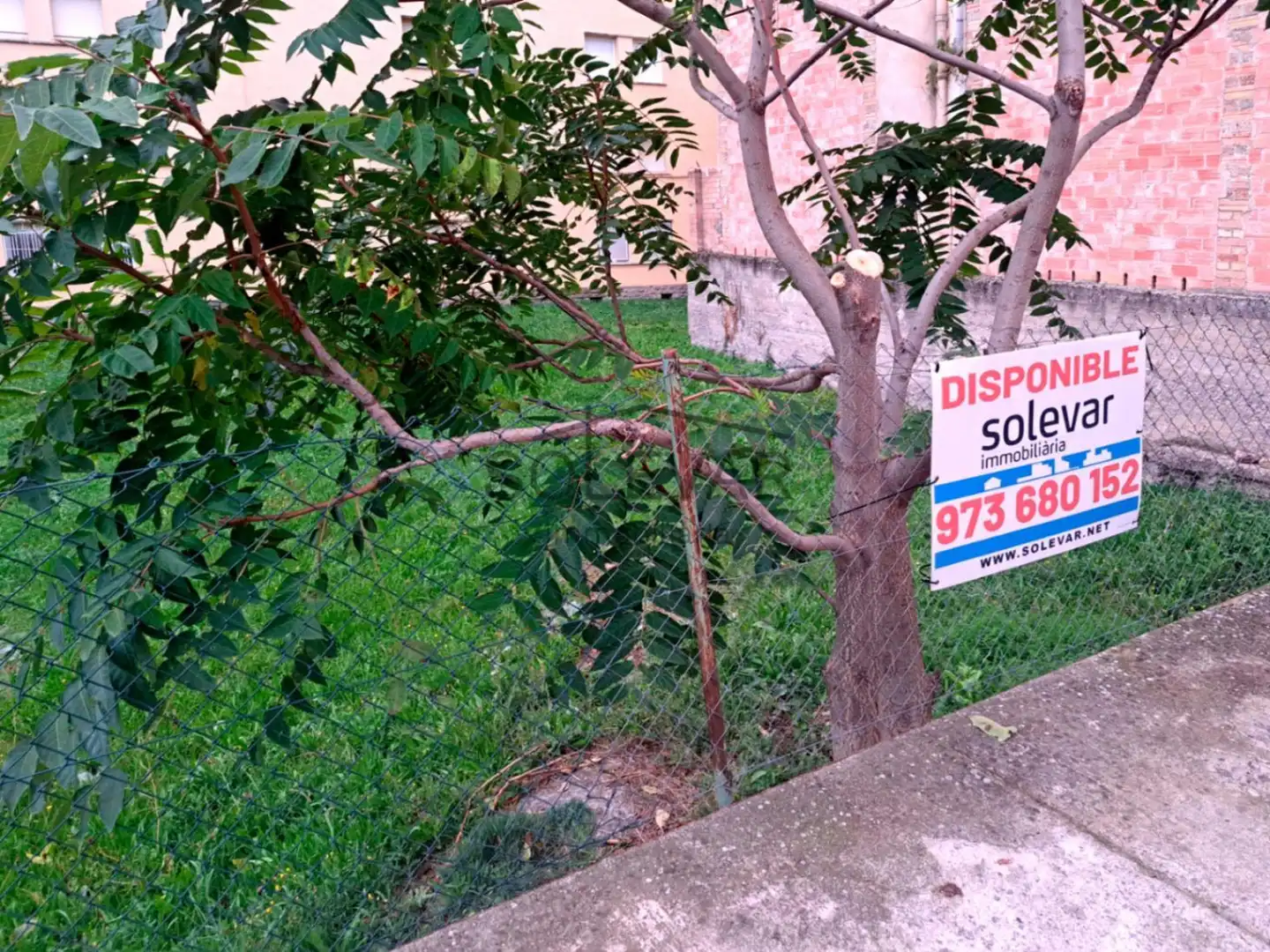 Lands and plots for sale in Noguera, imagen 3