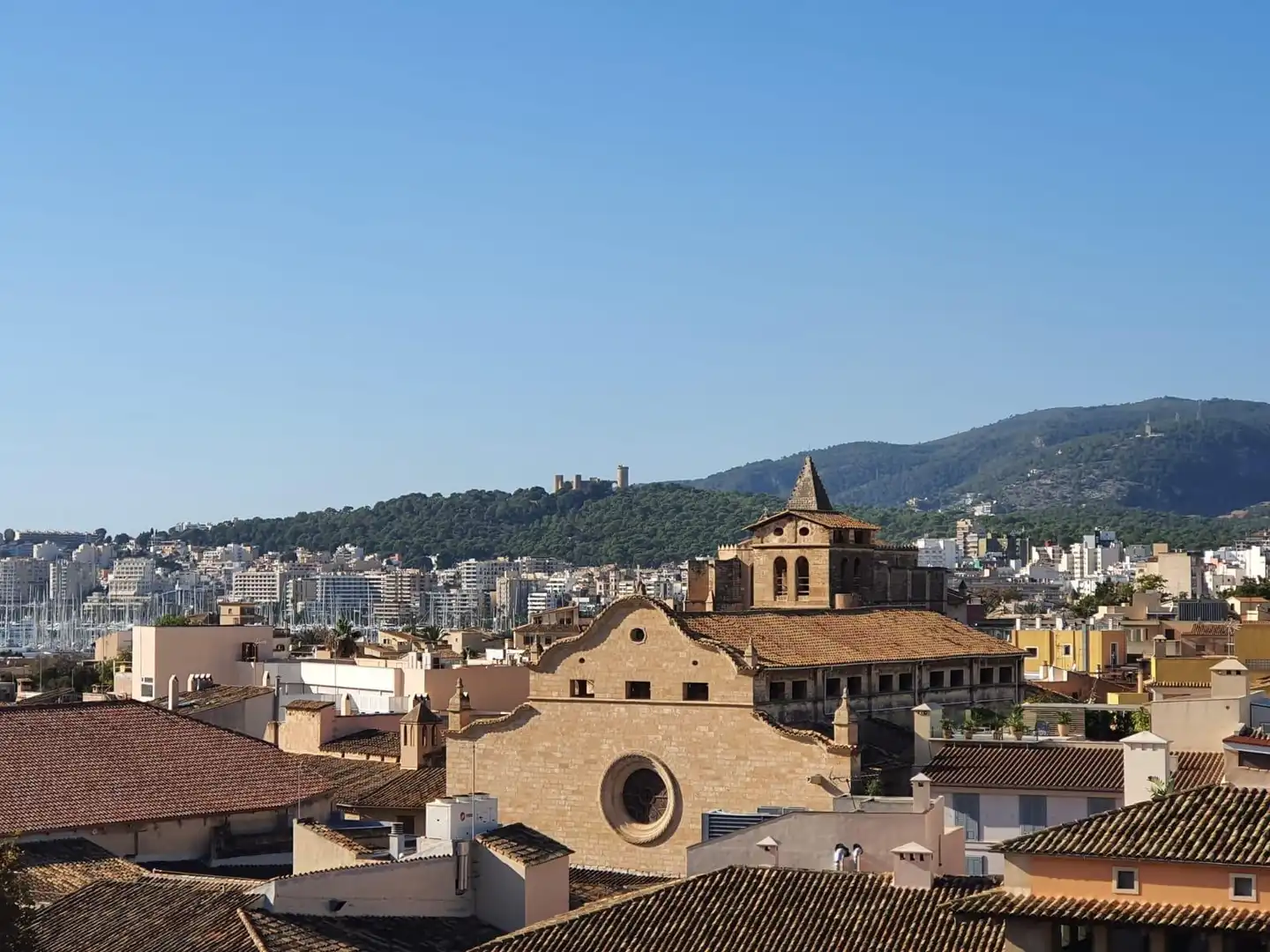 Exterior view of Attic for sale in  Palma de Mallorca